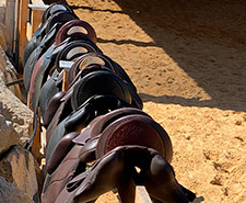 Bild für Sattelvorführung und Sattelanprobe am Pferd