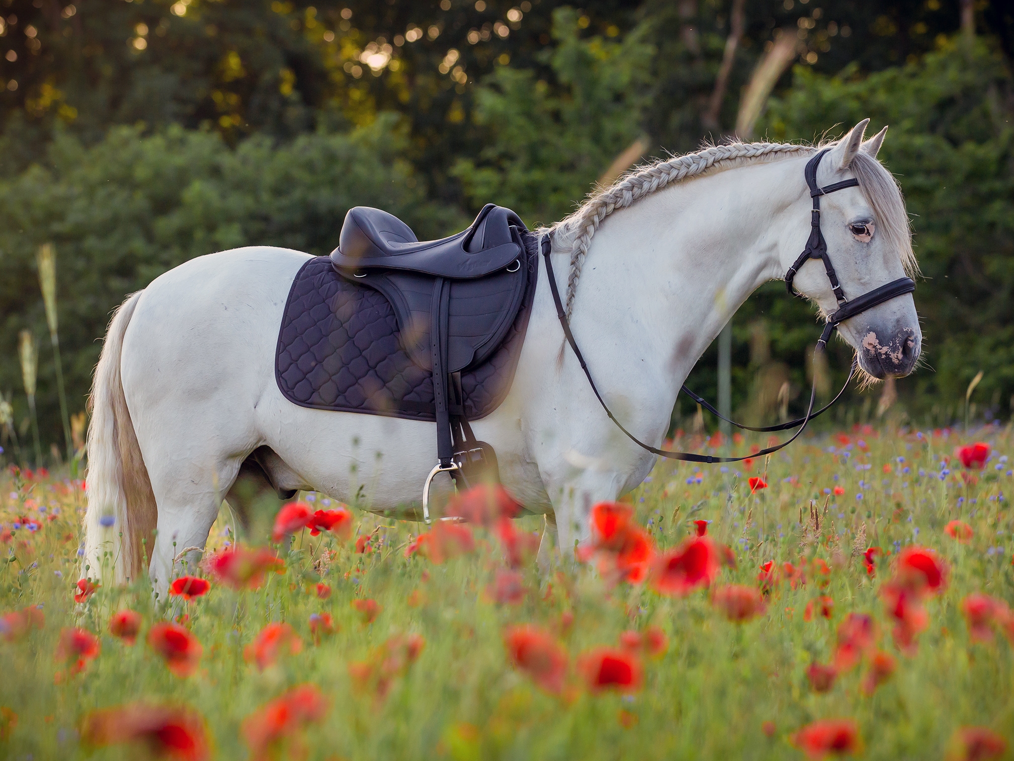 Barefoot Contour Physio VegiTex® – Bild 2