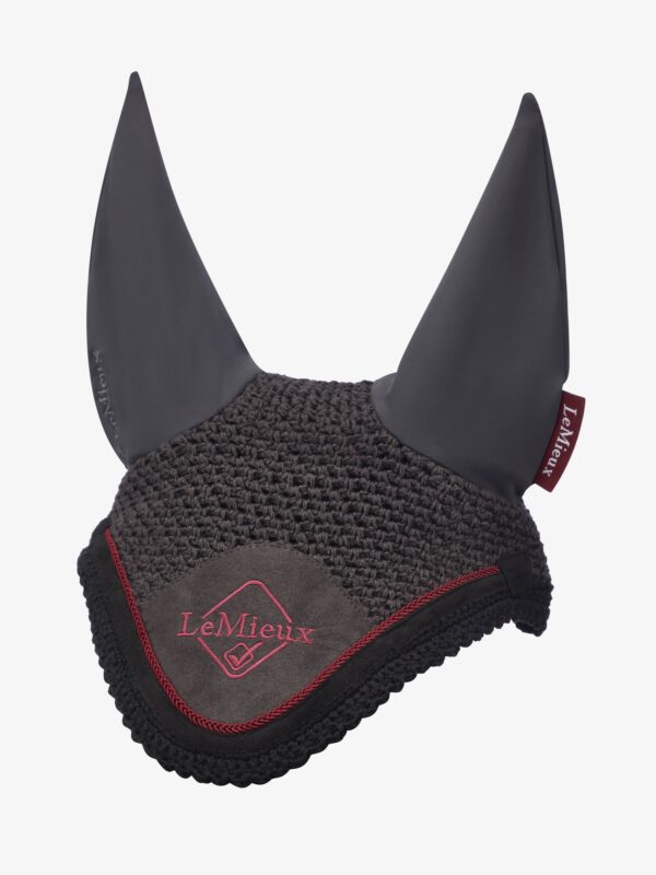 Le Mieux Flyhood Classic -