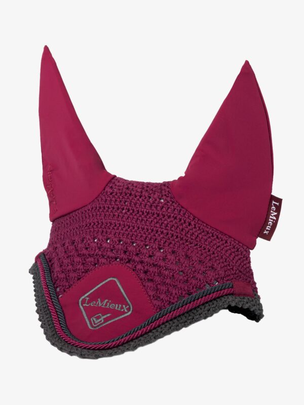Le Mieux Flyhood Classic -