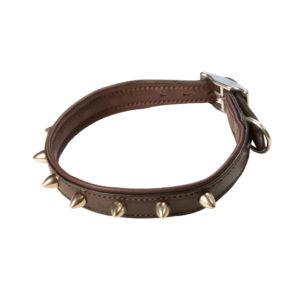 Hundehalsband Leder mit Nieten abgerundet - Sommer Dogs