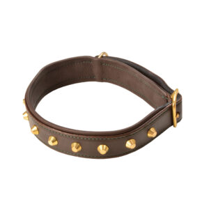 Hundehalsband Leder mit Nieten abgerundet - Sommer Dogs