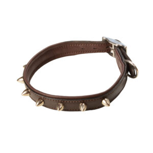 Hundehalsband Leder mit Nieten abgerundet - Sommer Dogs