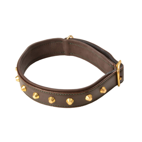 Hundehalsband Leder mit Nieten abgerundet - Sommer Dogs